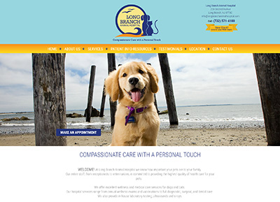 custom veterinary website design