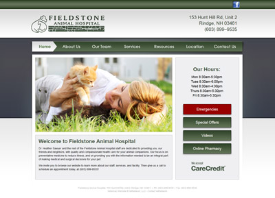 custom veterinary website design