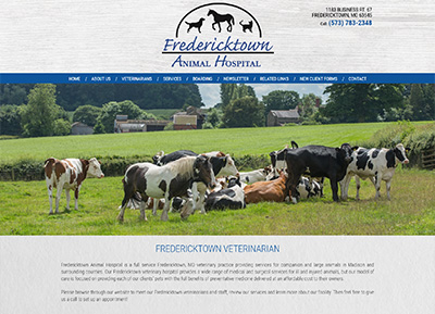 custom veterinary websites