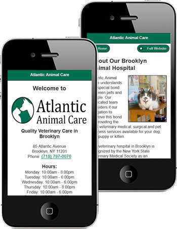 mobile veterinary website