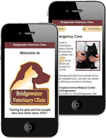 veterinary website mobile